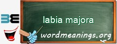 WordMeaning blackboard for labia majora